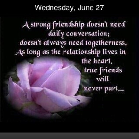 Meet your Posher, Bessie - Picture 1 of 1